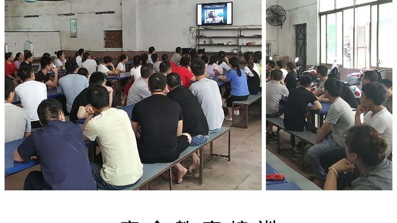 零基础学会计，初级职称之路：时间与路径解析**